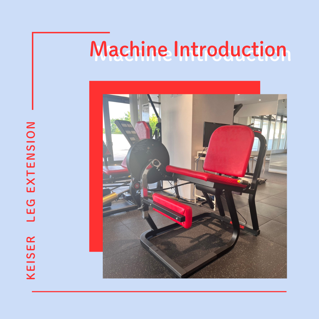 レッグエクステンション　スポーツジム