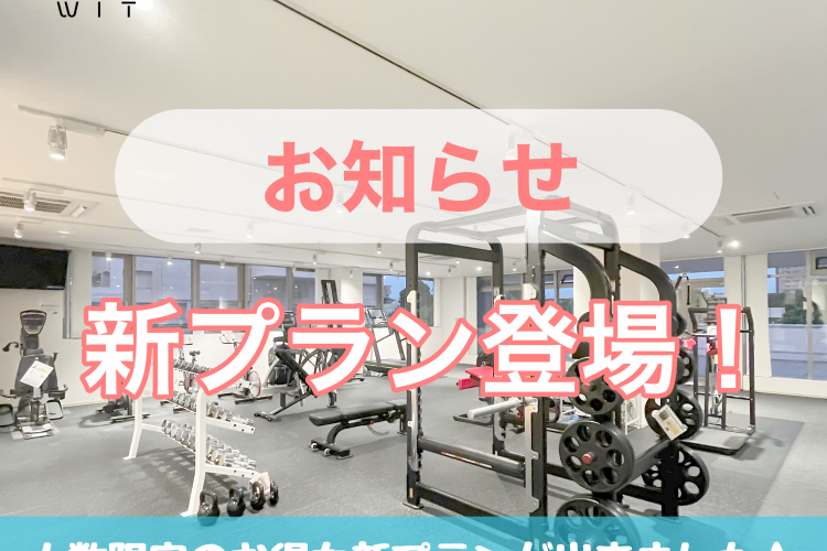 お得な新プランが登場！